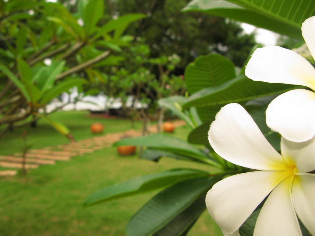 צ'או לאו ביץ' Baan Pun Sook Resort מראה חיצוני תמונה